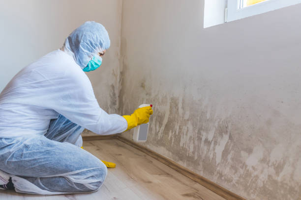 Licensed Commercial Mold Remediation service in Princeton, IL - WQB Mold Removal