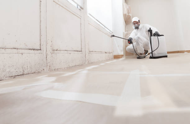 Trusted Commercial Mold Remediation service in Princeton, IL - WQB Mold Removal
