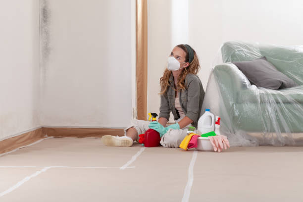 Reliable Commercial Mold Remediation contractor in Princeton, IL by WQB Mold Removal